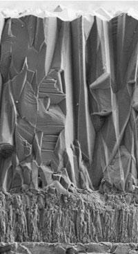 Textured coating